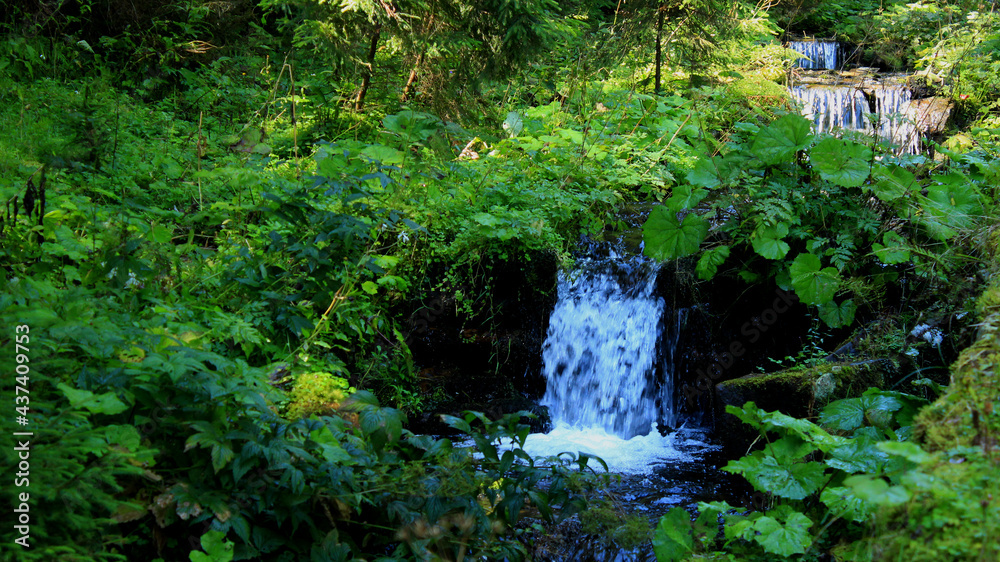 Small Waterfall In Bush Thicket