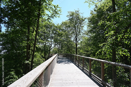 Heringsdorf, Usedom, Baumwipfelpfad photo