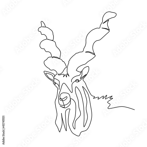 A sketch of Capra Falconeri. Illustration - One line. The Marhor is a rare Wild animal. Bukhara markhor. Capra falconeri heptneri, or Turkmen markhor.