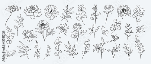 Minimal botanical hand drawing design for logo and wedding invitation. Floral line art.  Flower and leaves design collection for bouquets decoration, card and packaging background.
