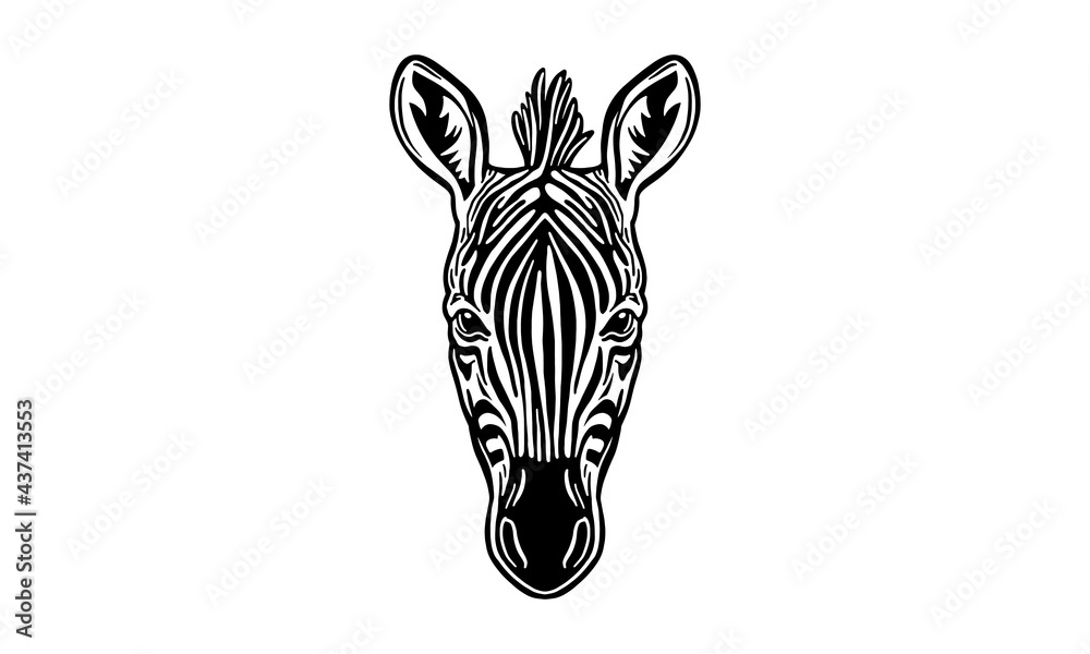 zebra on white background - obrazy, fototapety, plakaty 