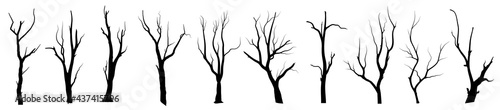Set Black Branch Tree or Naked trees silhouettes vector. Hand drawn isolated illustrations.