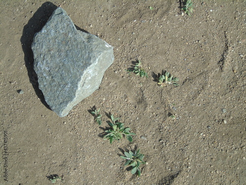 stone in the sand