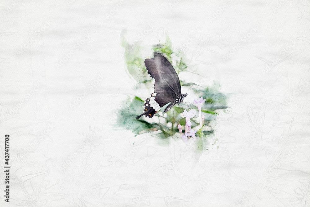 butterfly sitting on branch in watercolors butterfly sitting on branch in watercolors