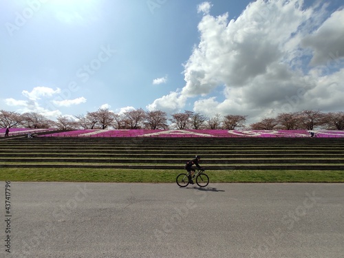 春の花