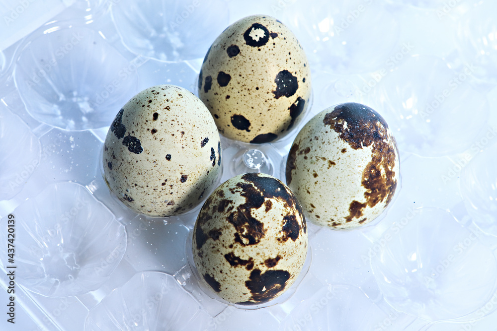 Fototapeta premium natural organic quail eggs on a white background