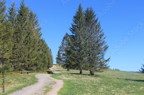 path through beautiful landscape