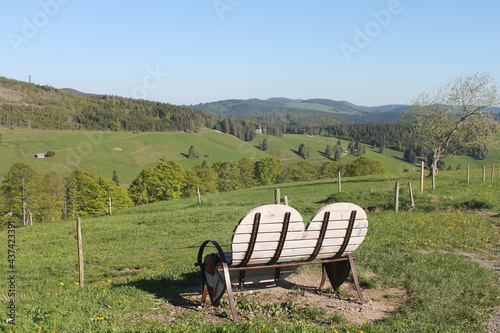 bench in the mountains