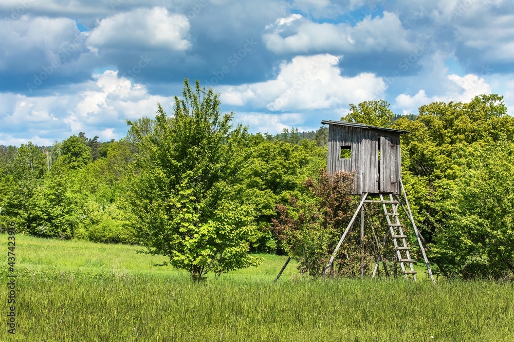 Hunting season. Hogs watchtower on a summer morning, hunting tower. Lookout tower for hunting in the Czech Republic. Hunting season. Hogs watchtower on a summer morning, hunting tower. Lookout tower for hunting in the Czech Republic.