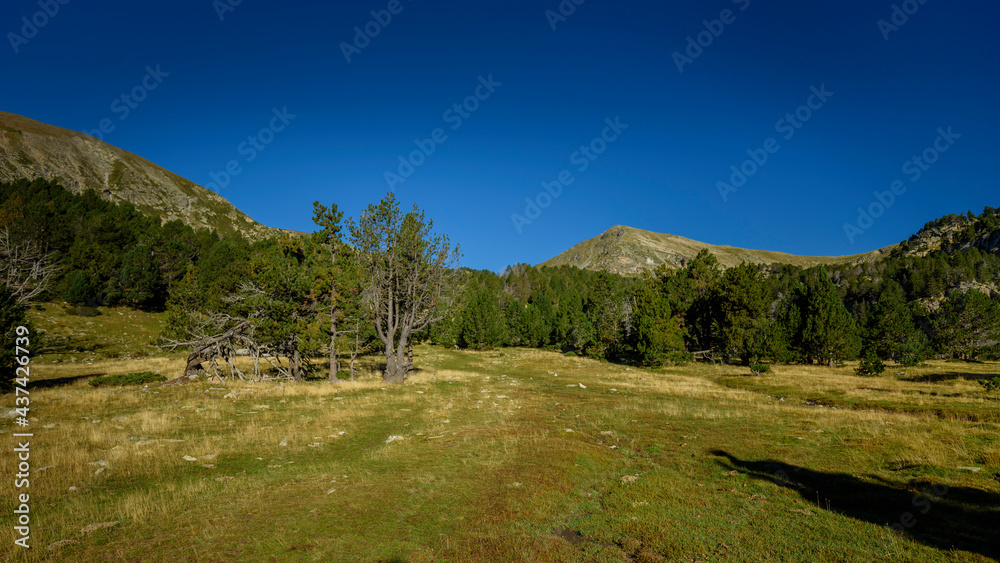 Obraz premium Ascent to the Estanys de la Pera lakes from the Font de les Pollineres (Cerdanya, Catalonia, Spain, Pyrenees)