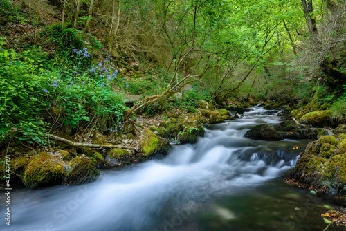 Bastareny natural spring and its surroundings in spring  Bergued    Catalonia  Spain 