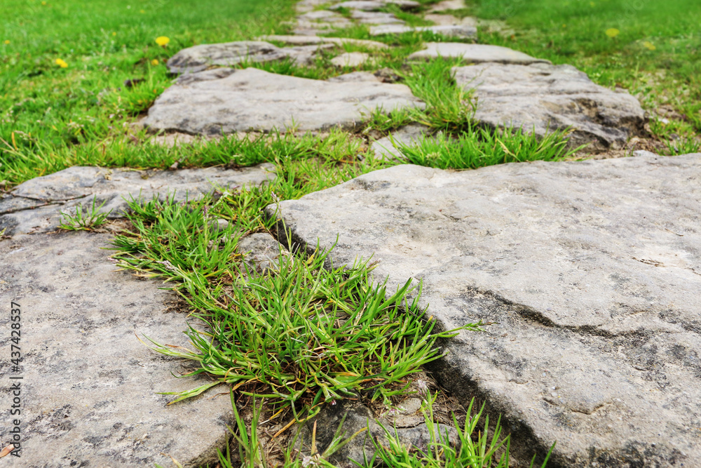 Very old stone garden path.