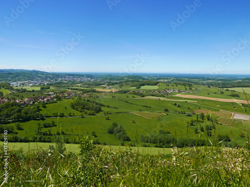 bellissimo e rilassante panorama di campi coltivati nella regione francese del Jura