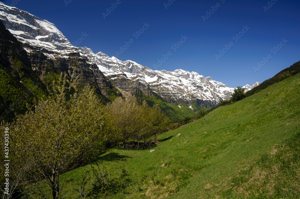 Pineta Valley in spring (Ordesa and Monte Perdido National Park, Aragon, Spain, Pyrenees)