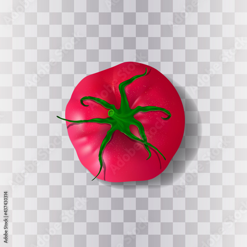 One big realistic vector tomato with green stem isolated on the semi transparent background. View from top. 3d beautiful pink heirloom tomato with shadows.