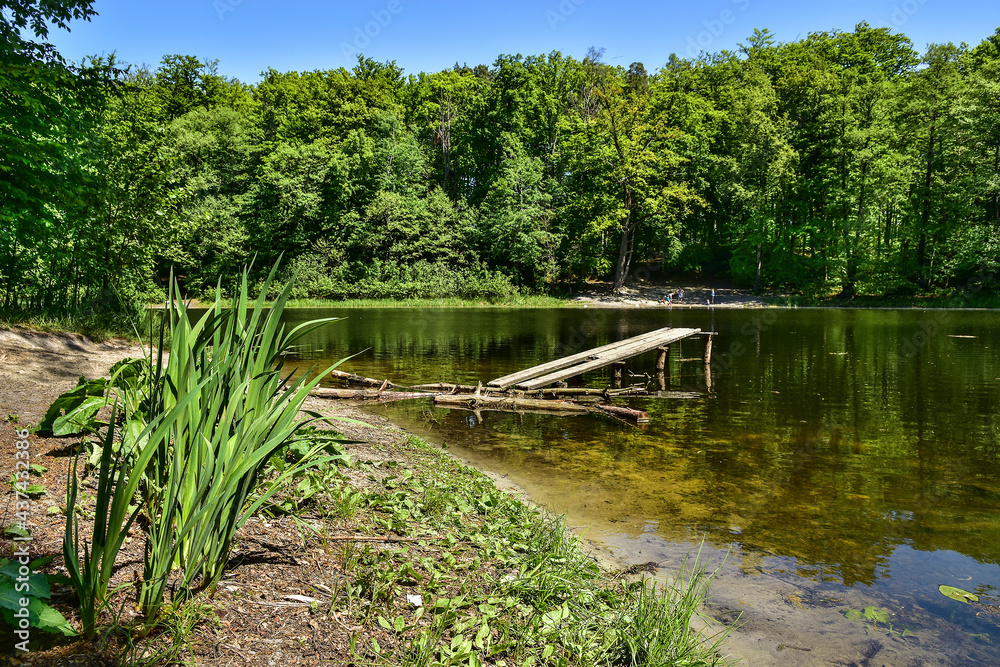 Fototapeta premium Otominskie Lake near Gdańsk, Poland. Beautiful spring landscape