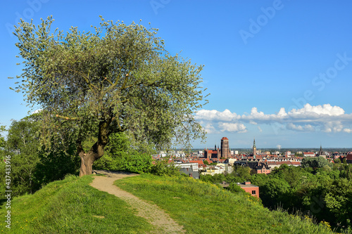 Panorama of the old town of Gdansk from Mount Gradowa, Poland photo