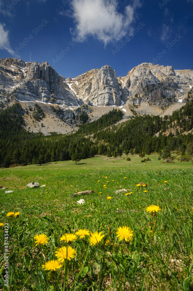 Prat de Cadí meadow on a spring morning (Cerdanya, Catalonia, Spain, Pyrenees) Prat de Cadí meadow on a spring morning (Cerdanya, Catalonia, Spain, Pyrenees)