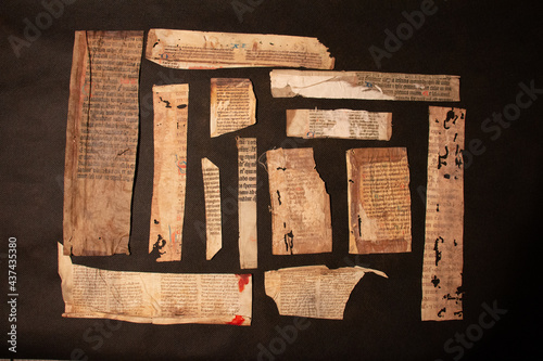 Canvas Print Manuscript fragment from a leaf written in medieval times on vellum or parchment