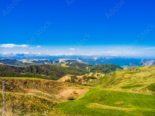 Green grass on the yellow spring alpine meadows of the Gumbashi pass. Snow covered huge mountain Elbrus on horizon against the blue sky. Mountainous  hilly summer landscape of the Caucasus Mountains.