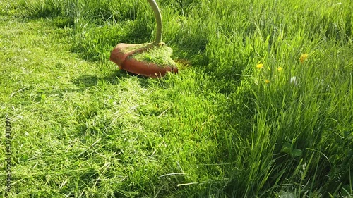 Grass-cutter mowing lawn, handheld grass trimmer working, closeup video