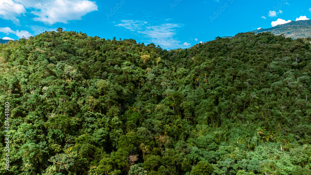 Tropical Island Waterfall Rapids Water Nature Paradise Summer Adventure Travel Tourism Green Blue Trees Landscape Leaves Mountain Hills Birds Palm tree View Tropical Island Waterfall Rapids Water Nature Paradise Summer Adventure Travel Tourism Green Blue Trees Landscape Leaves Mountain Hills Birds Palm tree View