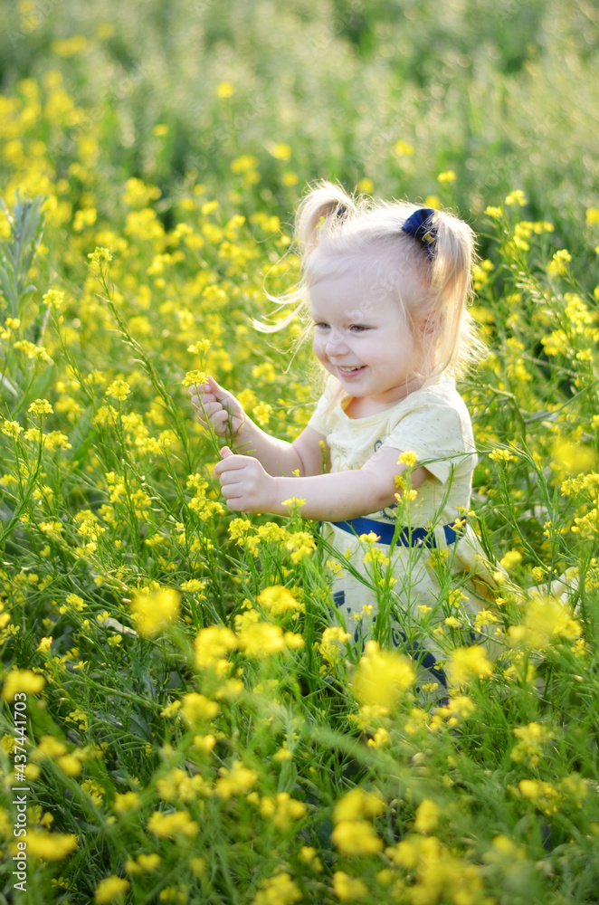 A little girl in a field of yellow flowers A little girl in a field of yellow flowers