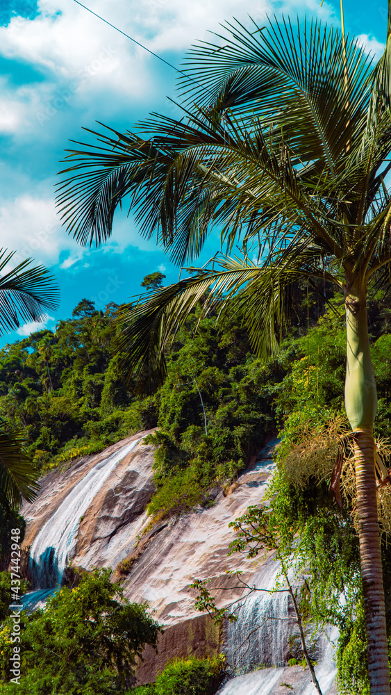 Fototapeta premium Tropical Island Waterfall Rapids Water Nature Paradise Summer Adventure Travel Tourism Green Blue Trees Landscape Leaves Mountain Hills Birds Palm tree View