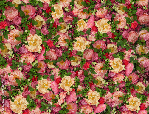 Peonies and roses, yellow and pink, a huge amount of fully covered background