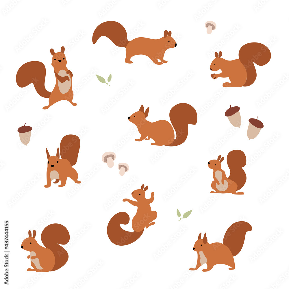 Vector illustration. A set of cheerful squirrels who eat nuts and walk. Vector illustration. A set of cheerful squirrels who eat nuts and walk.