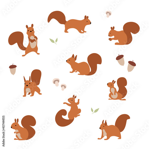 Vector illustration. A set of cheerful squirrels who eat nuts and walk.