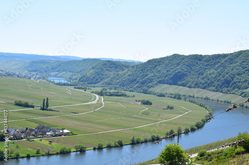 Moseltal zwischen Piesport und Neumagen-Drohn photo