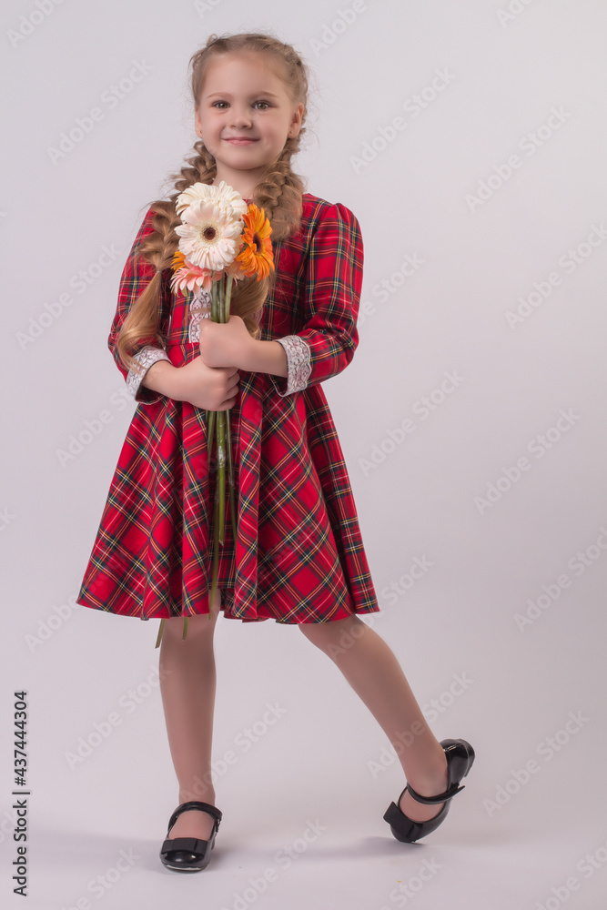 beautiful blonde girl with pigtails plaid dress school dress with gerberas flowers in her hands beautiful blonde girl with pigtails plaid dress school dress with gerberas flowers in her hands