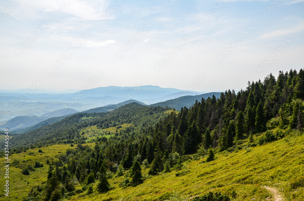 A view from the mountain ridge down to the meadow and forest hills. Carpathian mountains, Ukraine. Silence and harmony of nature.