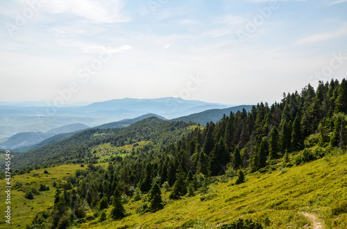 A view from the mountain ridge down to the meadow and forest hills. Carpathian mountains, Ukraine. Silence and harmony of nature. © Dmytro