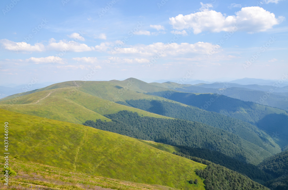 Majestic mountain range and rolling hills covered in green lush grass, bushes. Borzhava, Carpathian mountains, Ukraine
