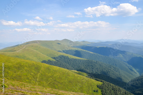 Majestic mountain range and rolling hills covered in green lush grass  bushes. Borzhava  Carpathian mountains  Ukraine