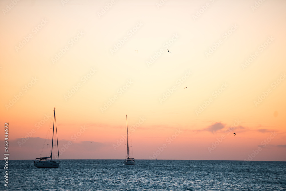 Sunset at sea with yachts and seagulls on the background
