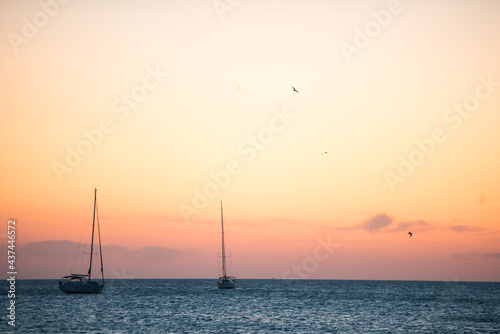 Sunset at sea with yachts and seagulls on the background