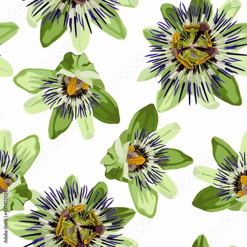 Passionflower passiflora tropical flowers. Seamless pattern on the white backgroung.