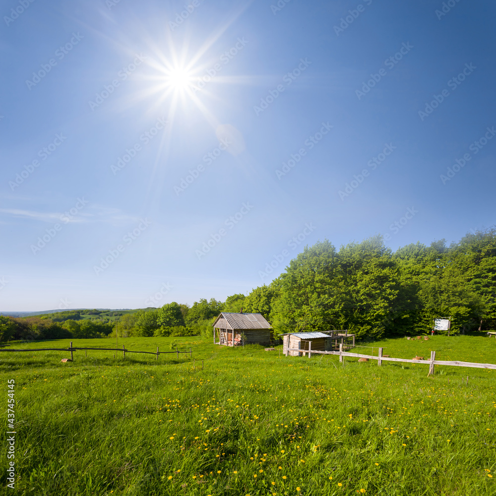 small farm on forest glade at the sunny day