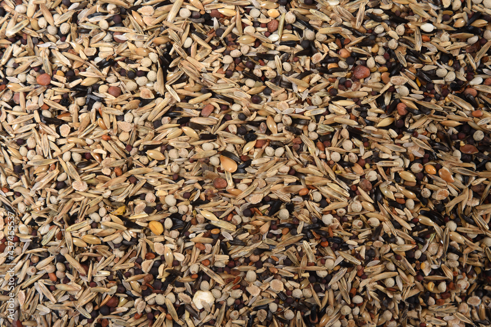 texture of mixture of grains for very small birds type Fringilla coelebs