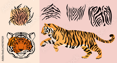 Tiger set 2