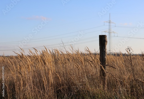 fence in the field