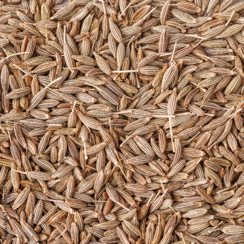 Cumin seed,Indian spices ;arranged on a white textured background which is mainly used for indian foods and traditional medicins.Textures of colorful spices and condiments. Cumin seed,Indian spices ;arranged on a white textured background which is mainly used for indian foods and traditional medicins.Textures of colorful spices and condiments.