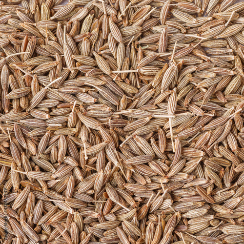 Cumin seed,Indian spices ;arranged on a white textured background which is mainly used for indian foods and traditional medicins.Textures of colorful spices and condiments. photo