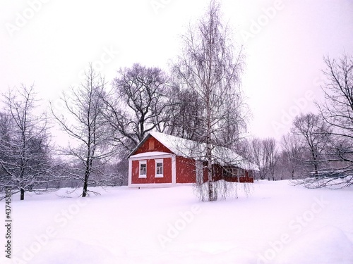 house in the snow © Евгения Шолохова
