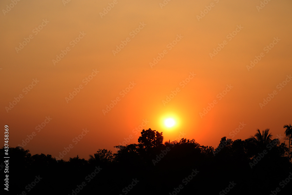 Sunset in a village behind the tree. Yellow evening sky . Sun tree and beautiful sky 