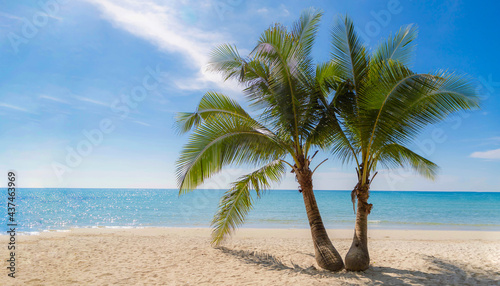 Summer vacations concept, White sand beach with two coconut trees, Beautiful tropical beach with palm trees under blue sky and white fluffy cloud, Koh Kood (Kood Island) Trat, Thailand.