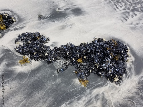 A glimpse at scenic Alaskan vistas 